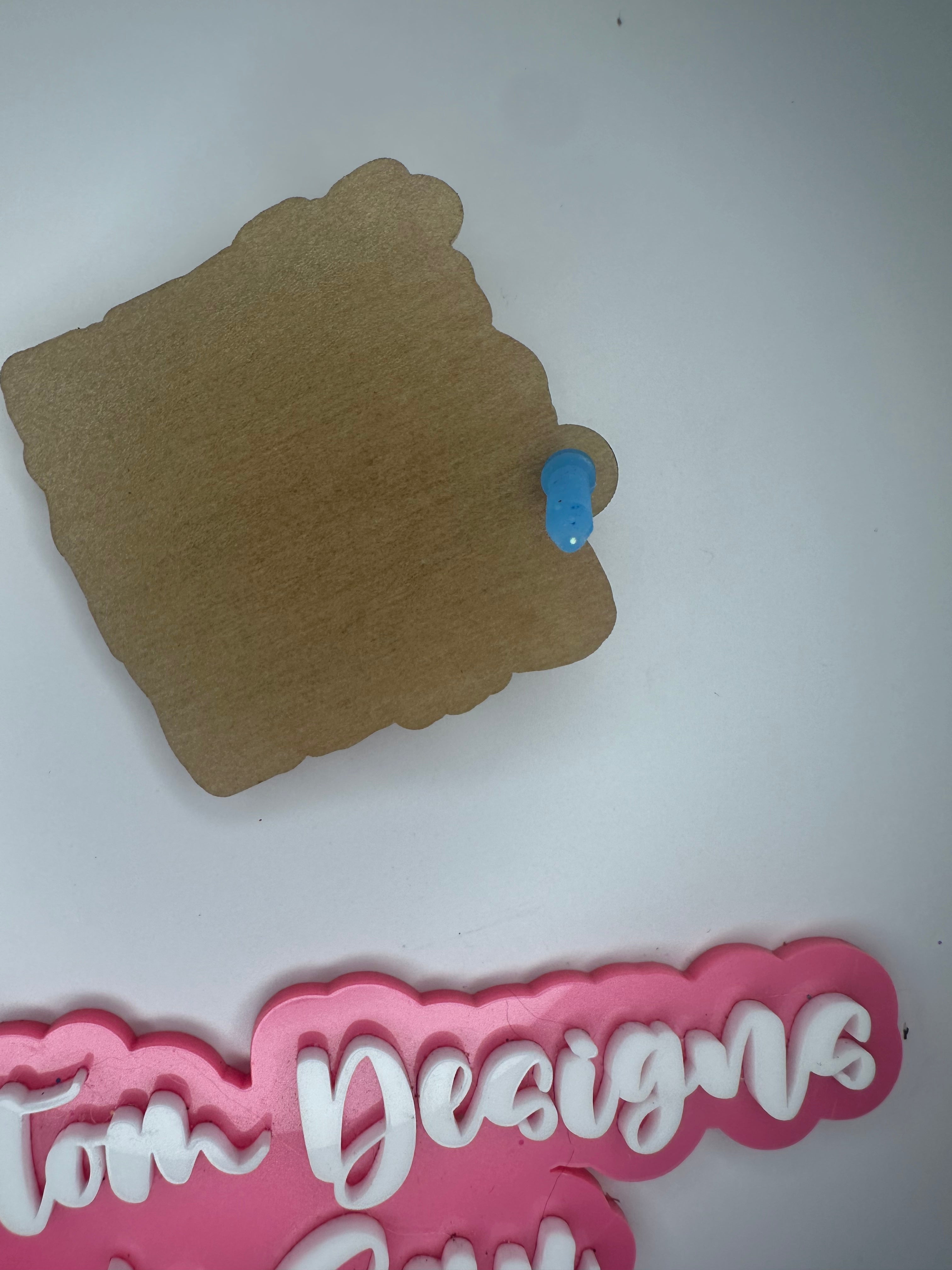 Acrylic Blank Hole Plugs